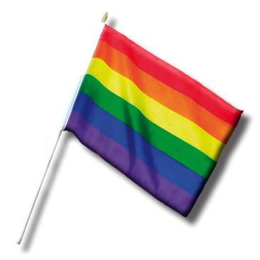 Divertysex - Bandierina Rainbow Pride Maxximum Pleasure
