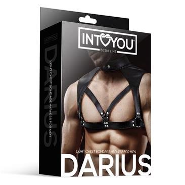 Intoyou - harness maschile Darius Maxximum Pleasure