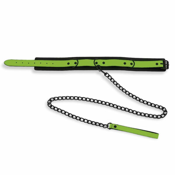 Collare Con Guinzaglio Fluorescente. Intoyou - immagine 3